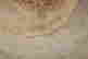 item-131345214=8