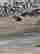 item-131345223=7