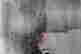 item-131345319=6
