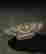 item-131345326=6