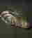 item-131345326=7