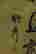 item-131849941=2