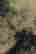 item-131849986=6