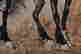 item-131850056=4
