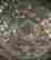item-131850089=5