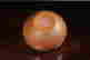 item-131850243=8