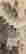 item-131850280=2