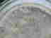 item-131850363=9