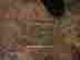 item-133005812=9