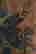 item-133005959=6