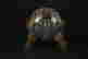 item-133618183=6