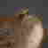 item-136952400=6