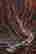 item-136952431=10