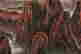 item-136952431=2