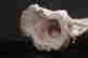 item-136952764=9