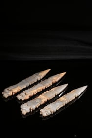 HETIAN JADE BELT CARVED AUSPICIOUS BEASTS AND RITUAL IMPLEMENTS FOUR PIECES SET