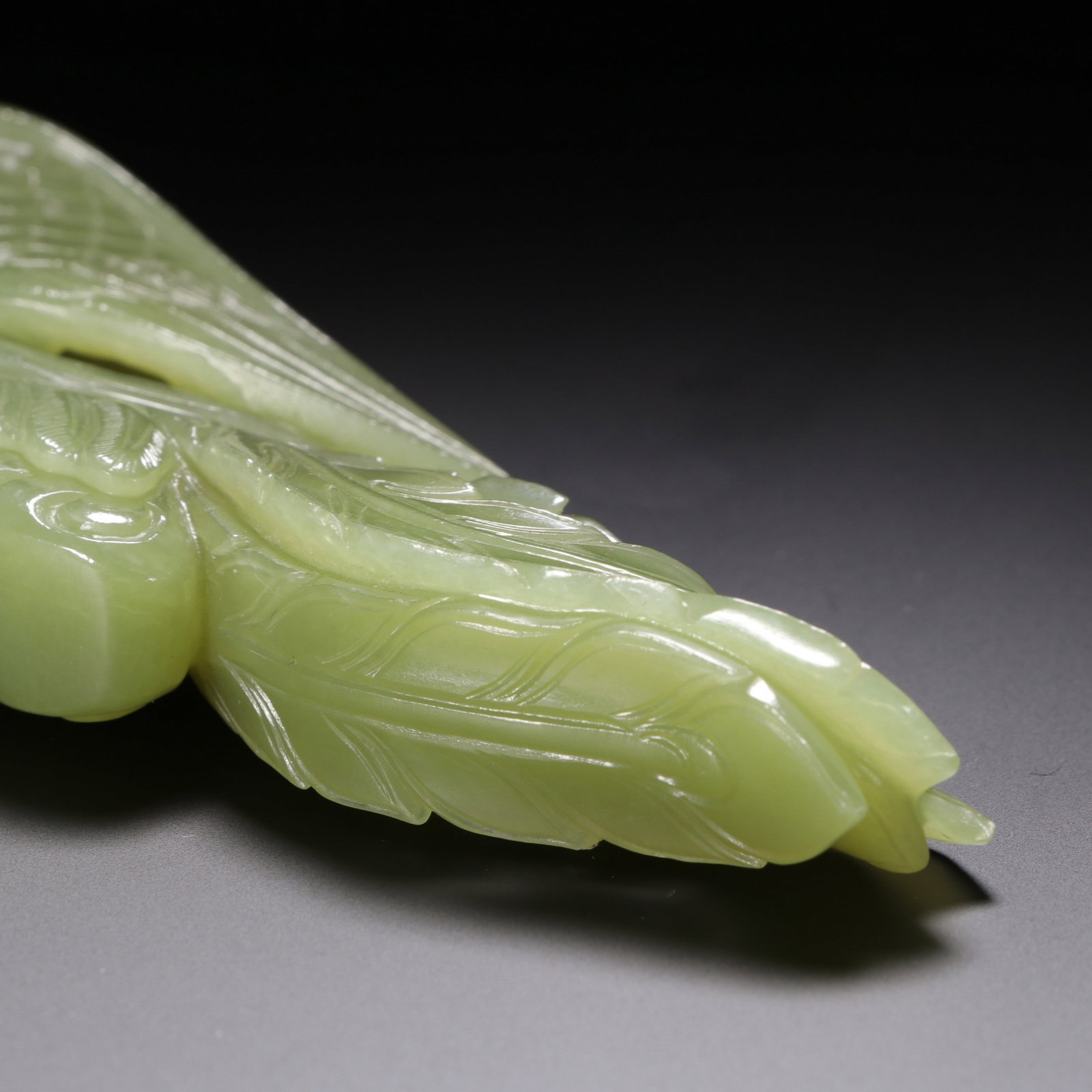 A JADE - 8