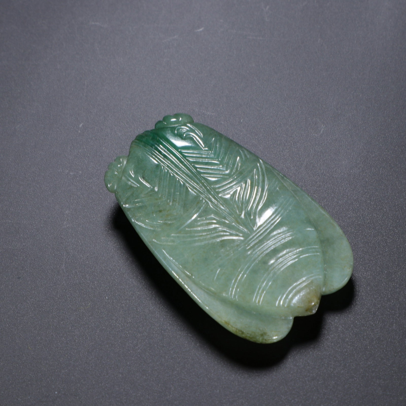 A JADE CICADA - 4