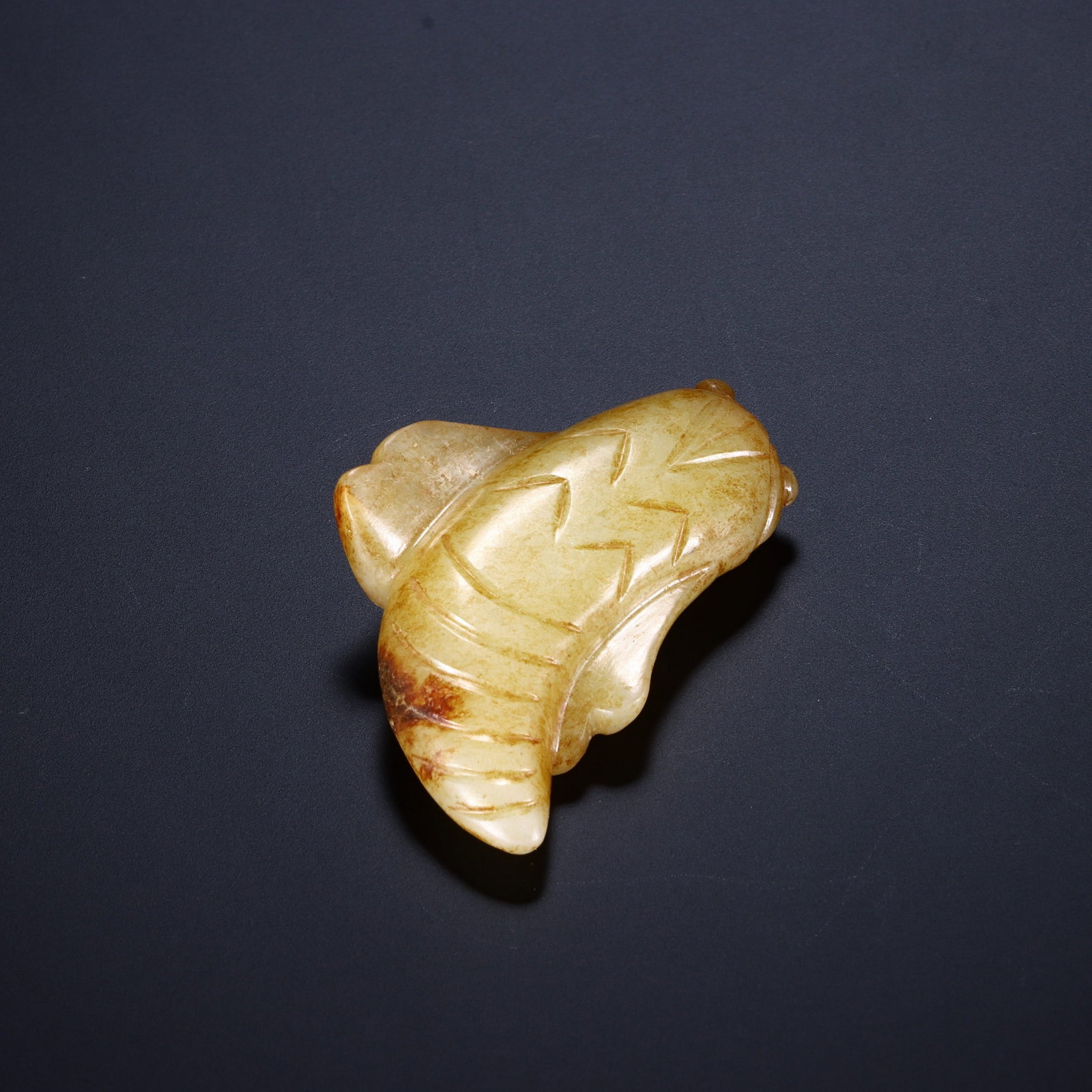 A JADE CICADA - 5