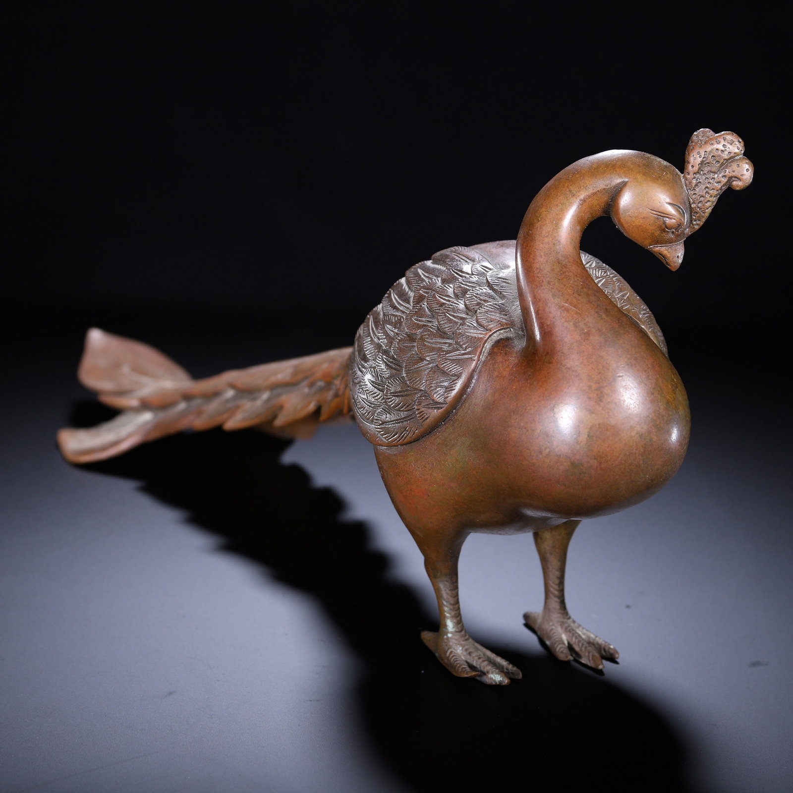 A BRONZE BEAST - 6