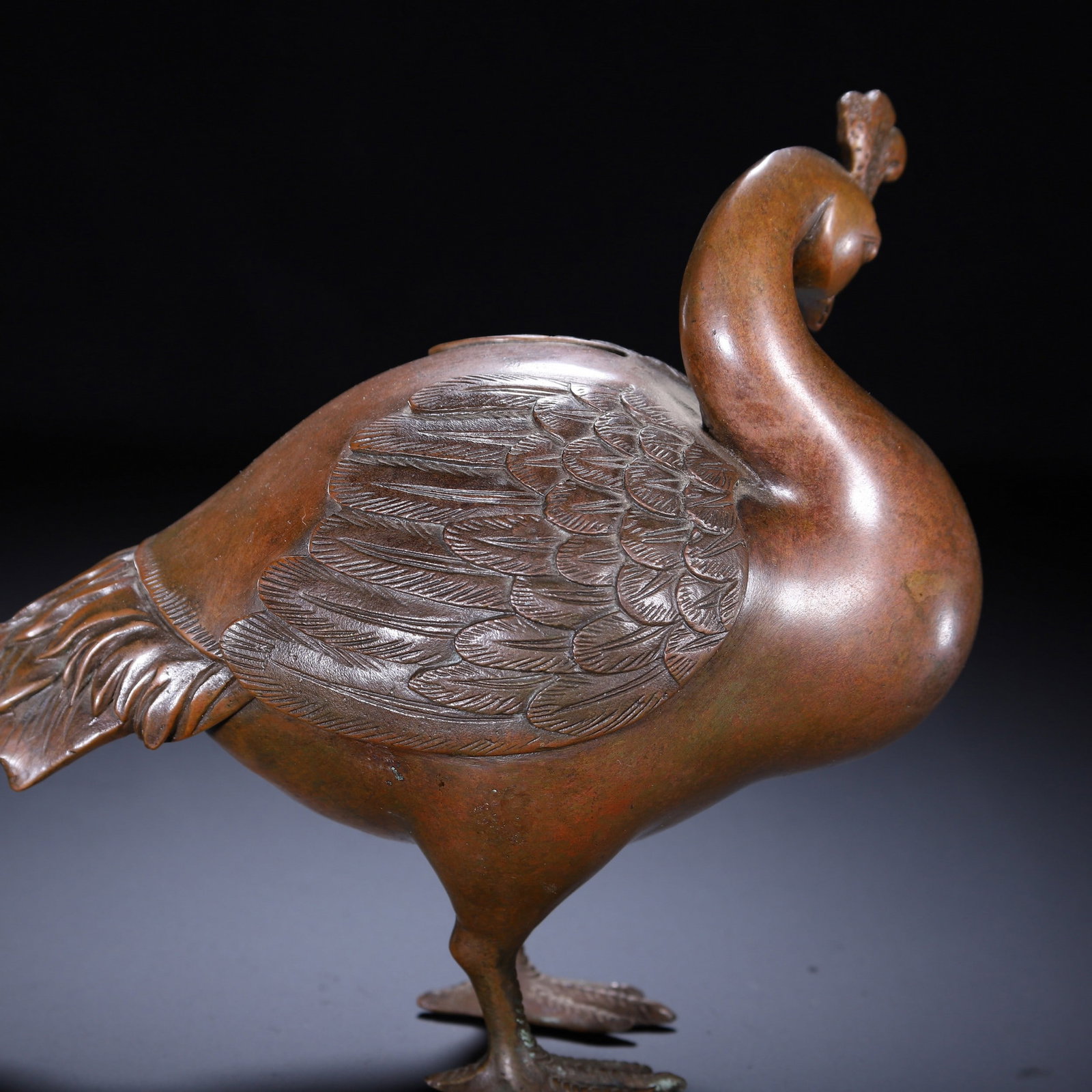 A BRONZE BEAST - 8