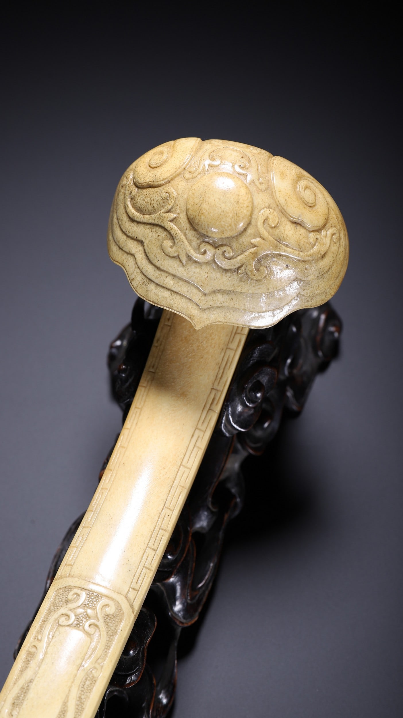 ANTLER RUYI - 2