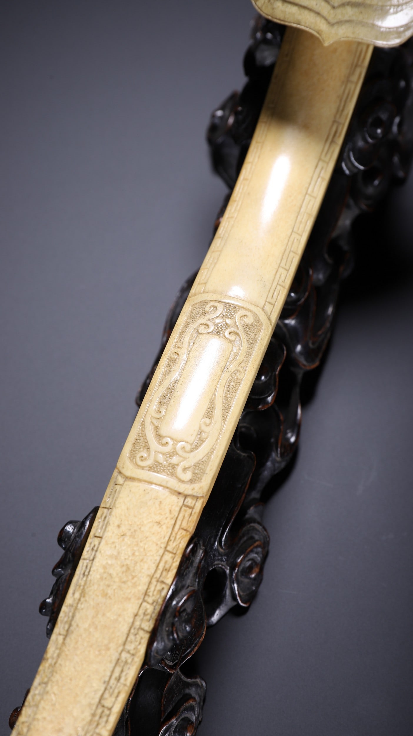 ANTLER RUYI - 3