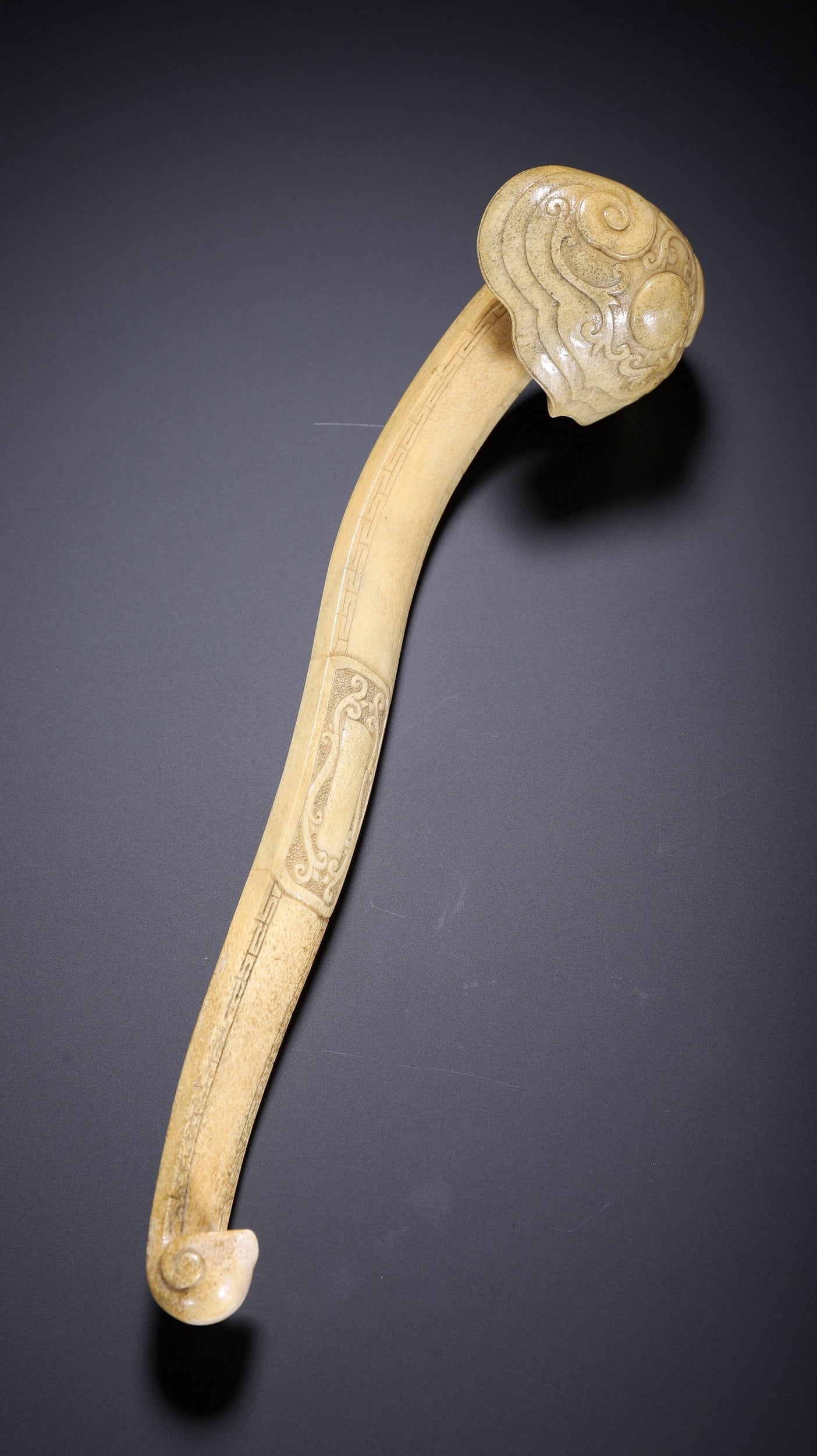 ANTLER RUYI - 5