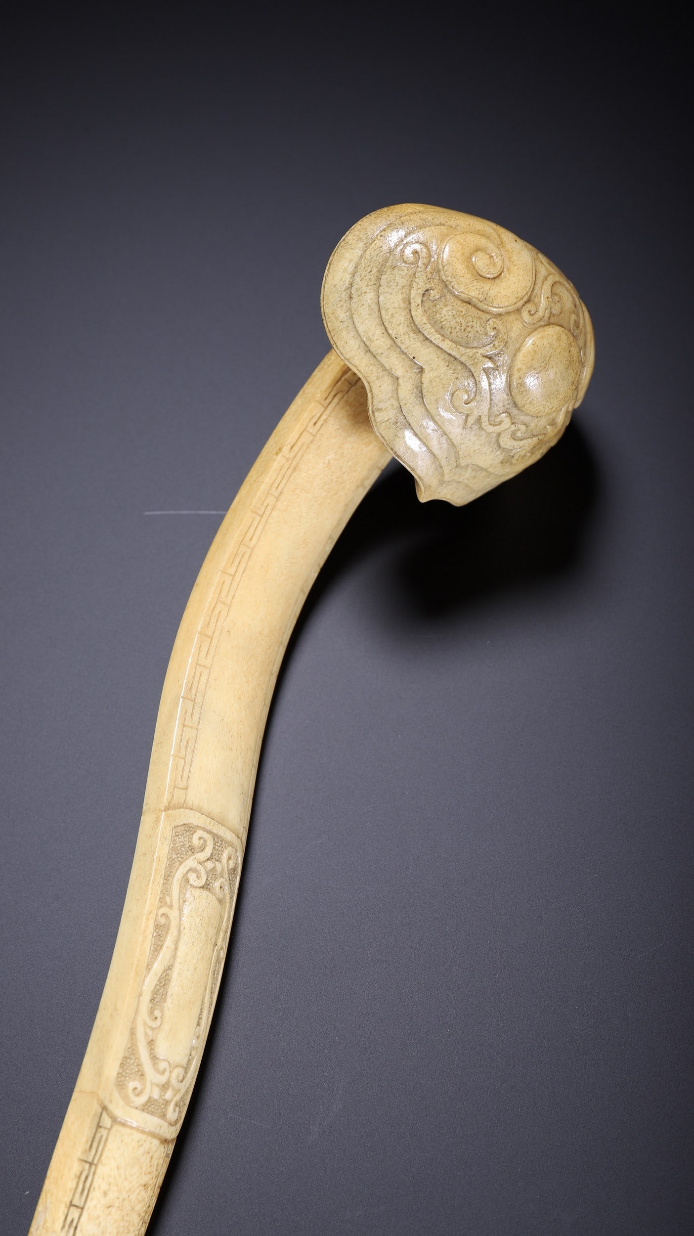 ANTLER RUYI - 6