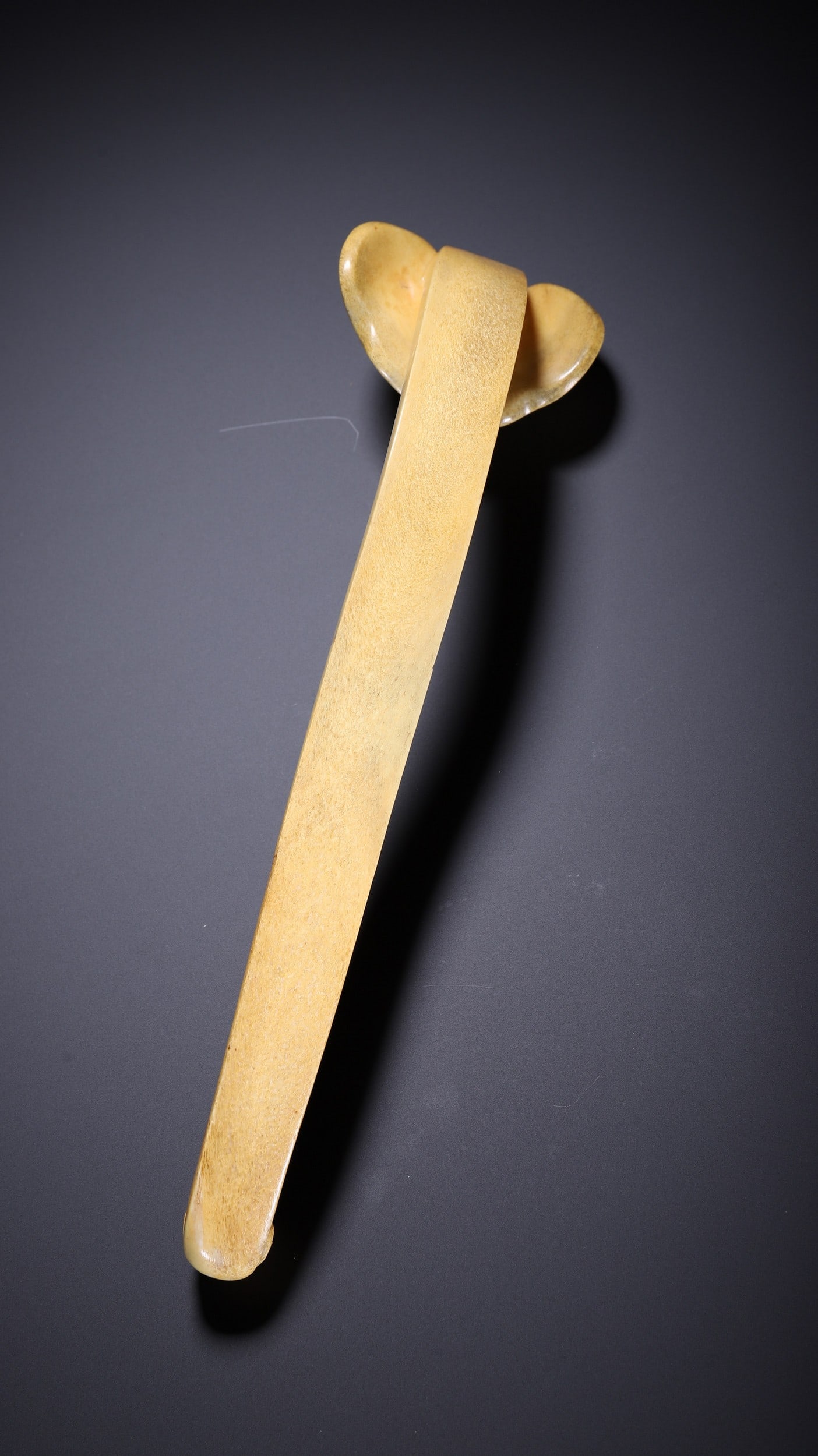ANTLER RUYI - 7