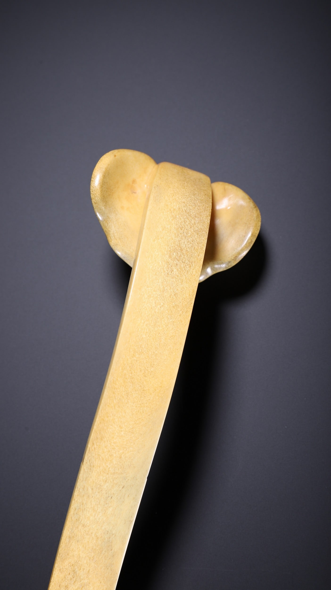 ANTLER RUYI - 8