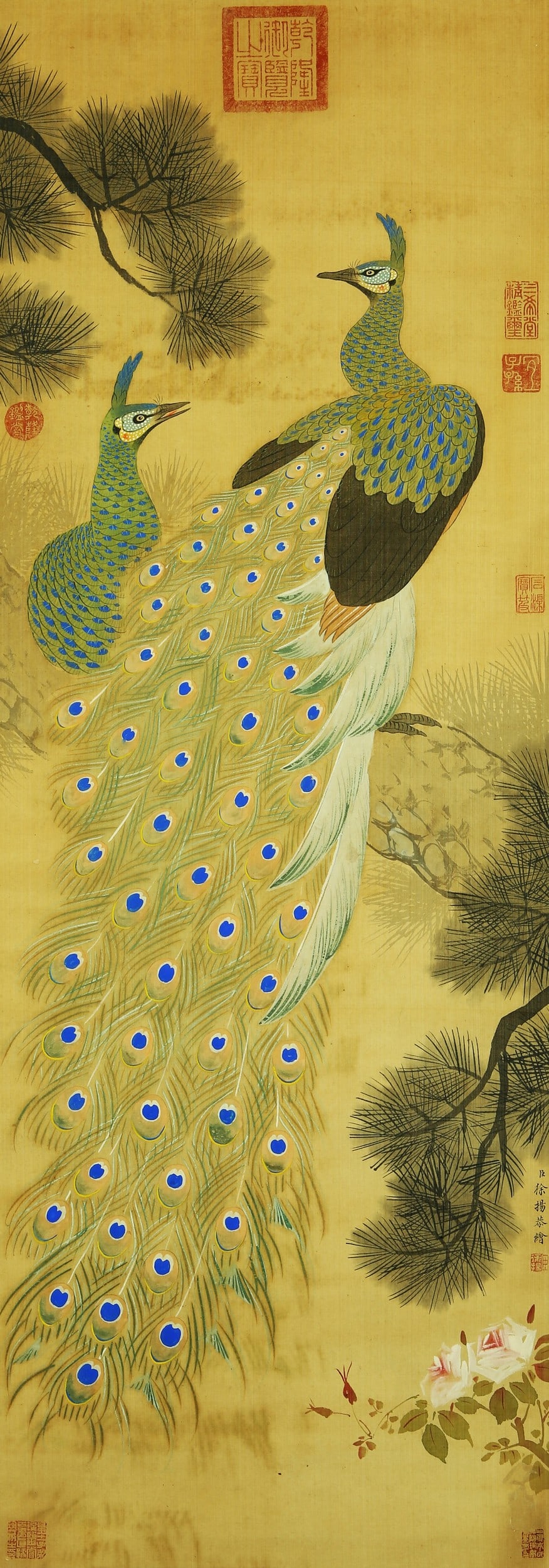XU YANG ATTRIBUTED TO,PEACOCK: 徐扬 孔雀 绢本镜片 Xu Yang attributed to,peacock 115×40