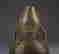 item-37560361=7