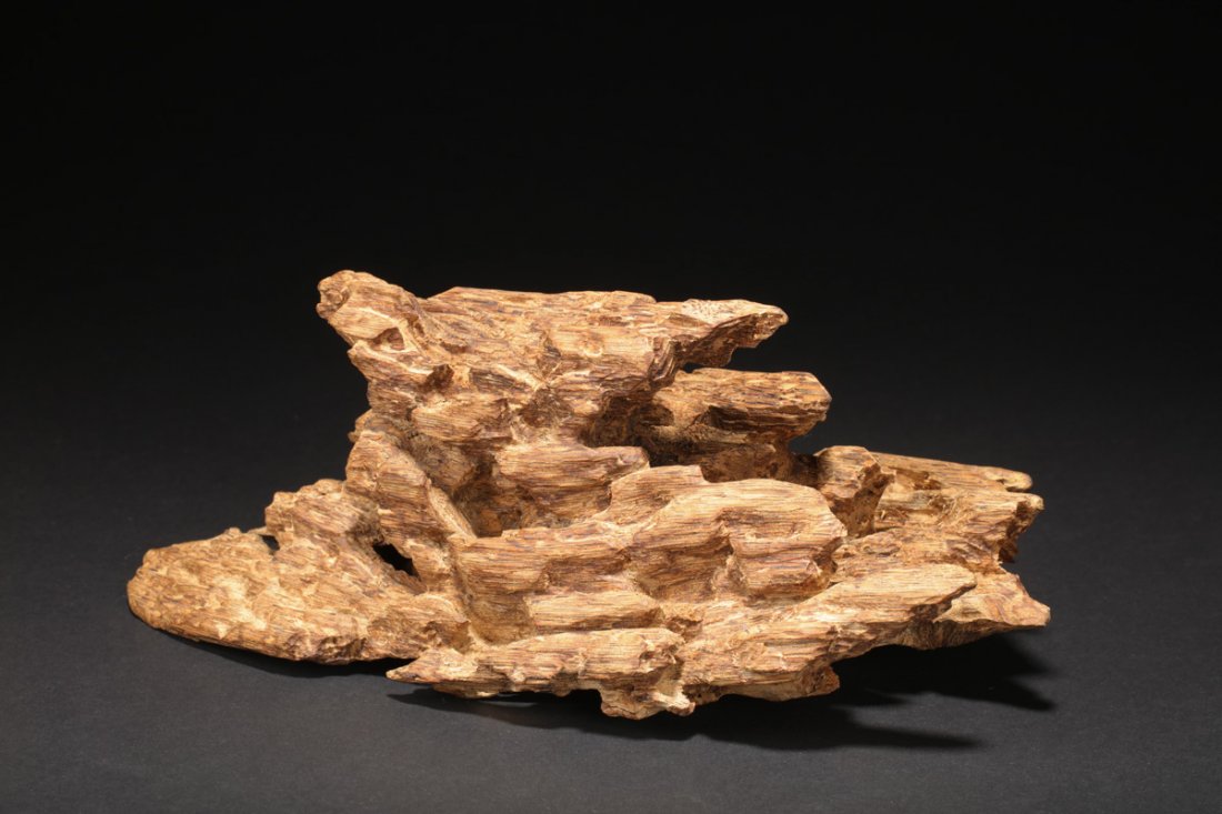 CAMBODIAN NATURAL AGARWOOD PIECE, 588 GRAMS (1 of 6)