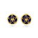 Schlumberger Tiffany & Co. Sand Dollar Enamel Earrings - 3
