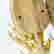 item-133858151=3