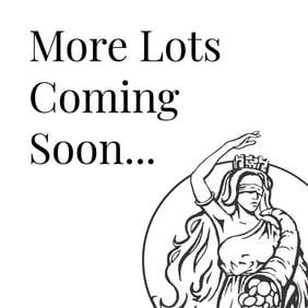 More Lots Coming Soon