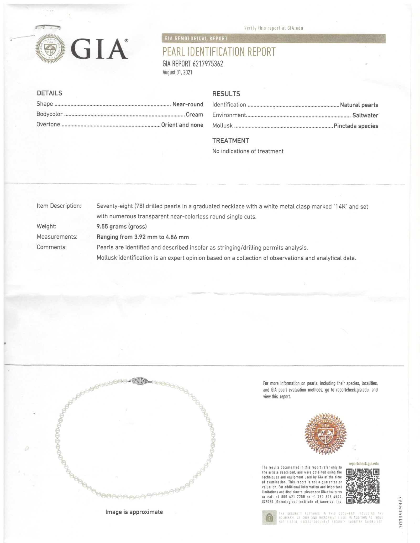 Natural Saltwater Pearl Necklace, GIA Certified - No Reserve Lot - 2