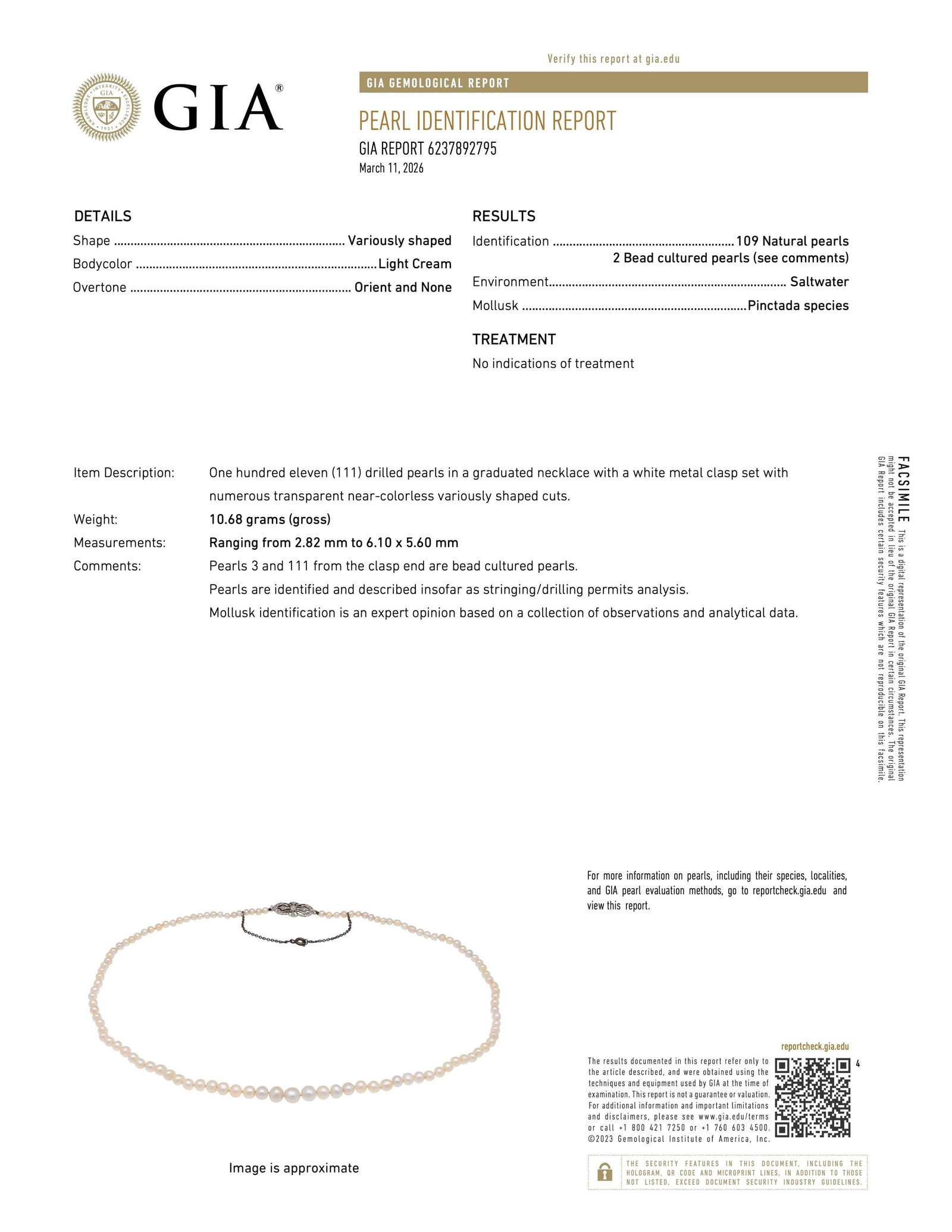 Natural Saltwater Pearl Necklace, GIA Certified - 2