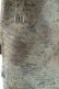 Antique Indonesian Style Bronze Standing Java Teaching - 5