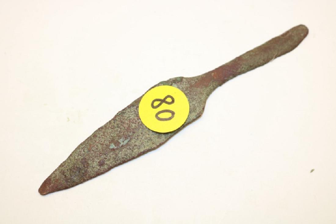 Rat tailed spear (1 of 1)