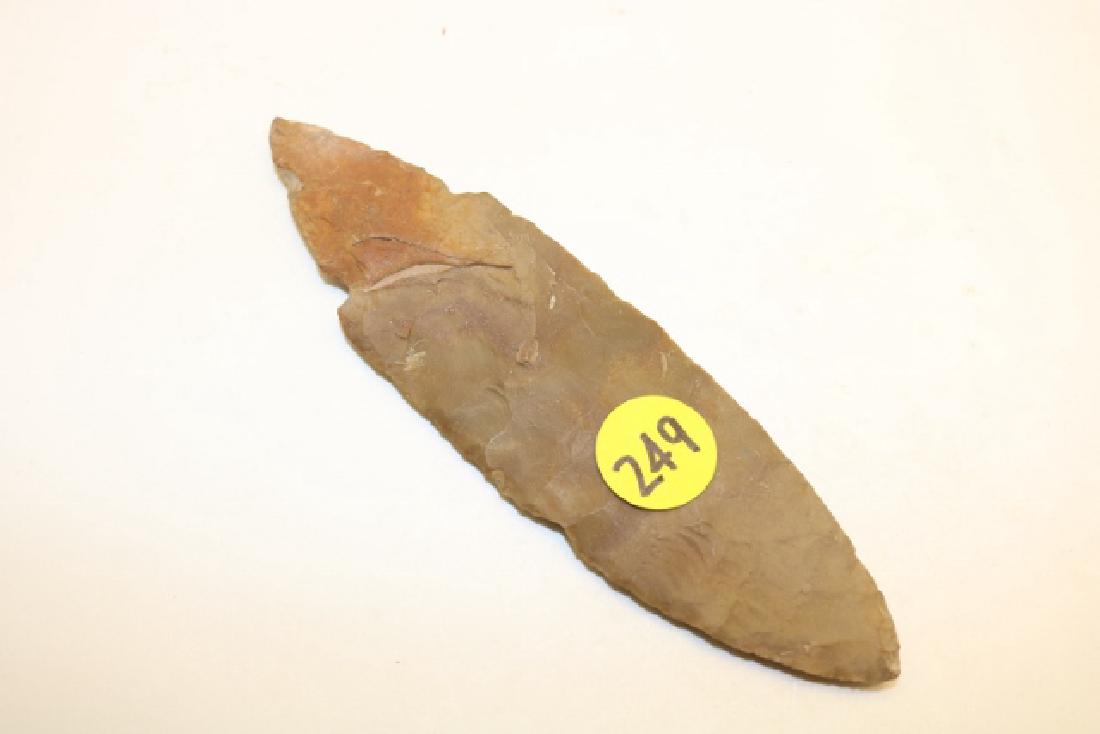 thin turkey tail (1 of 2)