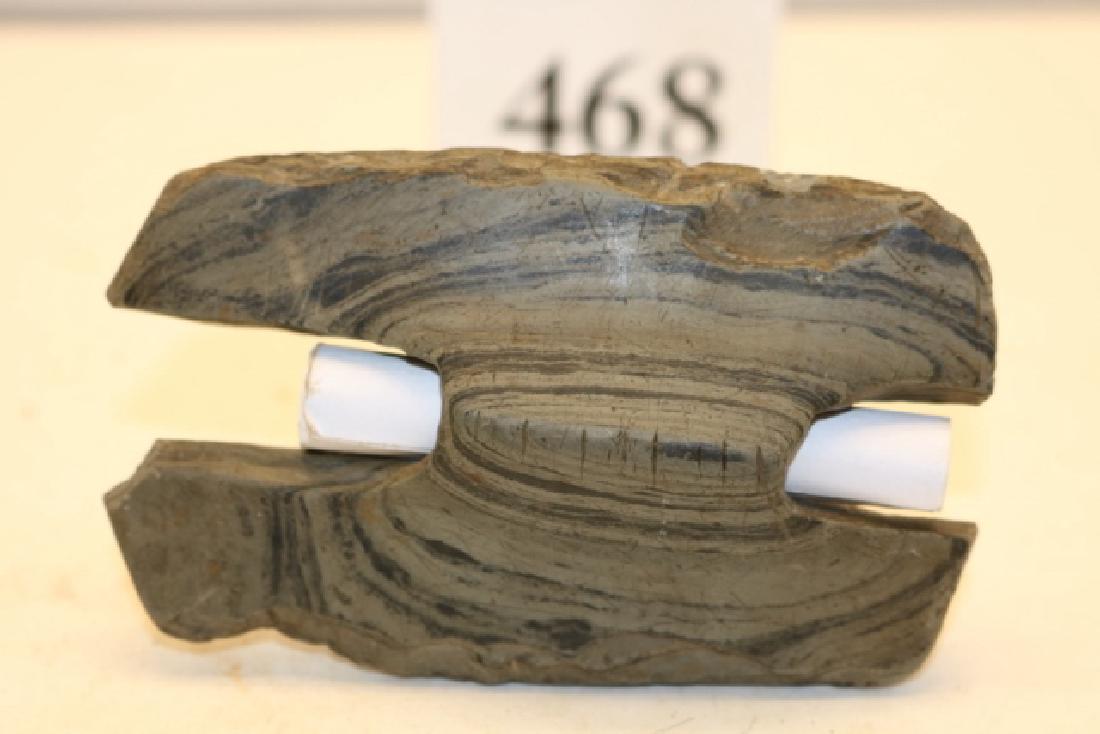 banded slate butterfly (1 of 2)