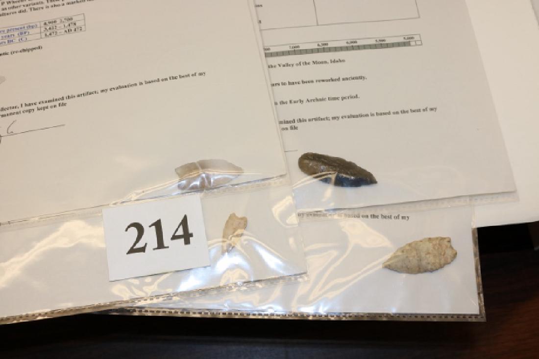 7 Paleo Type Points (1 of 3)