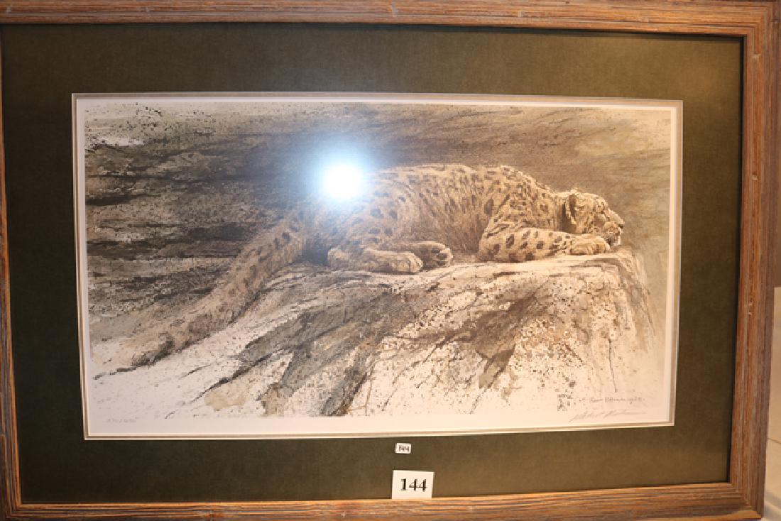 Print  “Reclining Snow Leopard” (1 of 1)