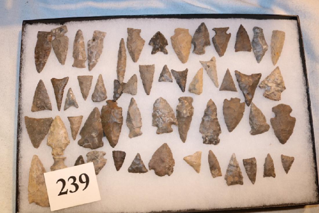 Frame with 53 Flint Triangular Points (1 of 2)