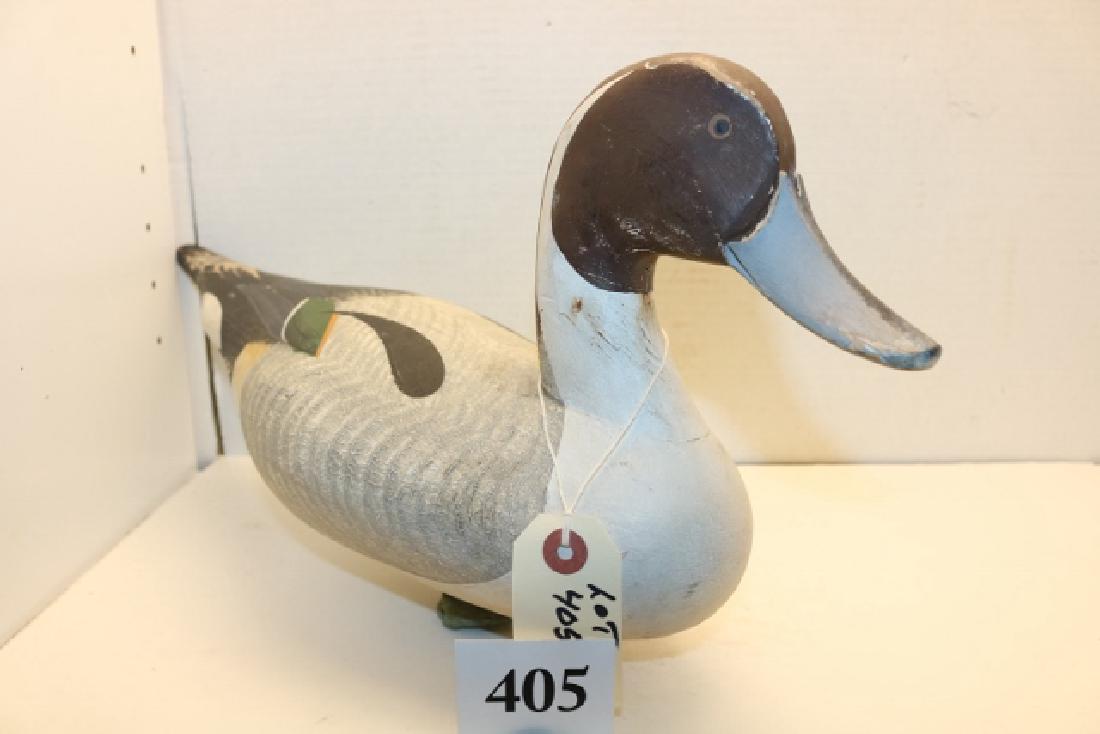 Pintail drake working decoy (1 of 4)