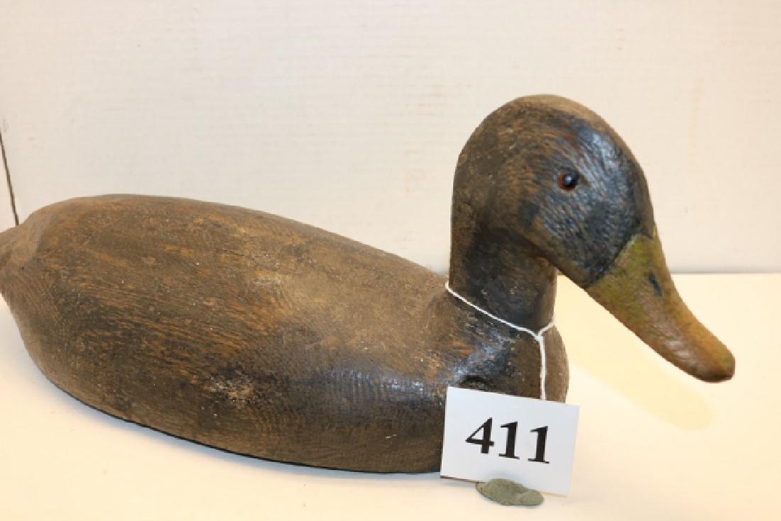 Pilon Family", Black Duck (1 of 2)