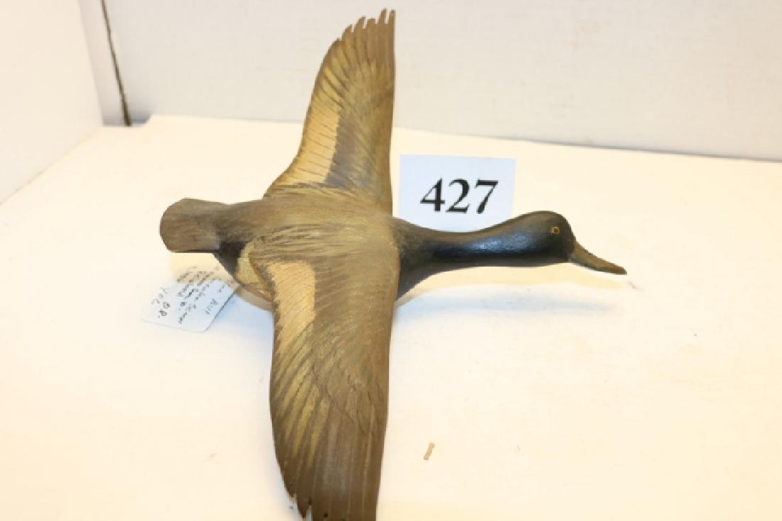 flying miniature Bluebill Drake (1 of 2)