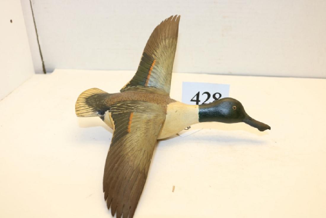 flying miniature Northern Shoveler (1 of 3)